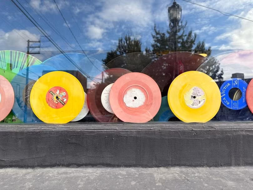 Một số ảnh chụp từ camera của iPhone 16. Ảnh: The Verge.