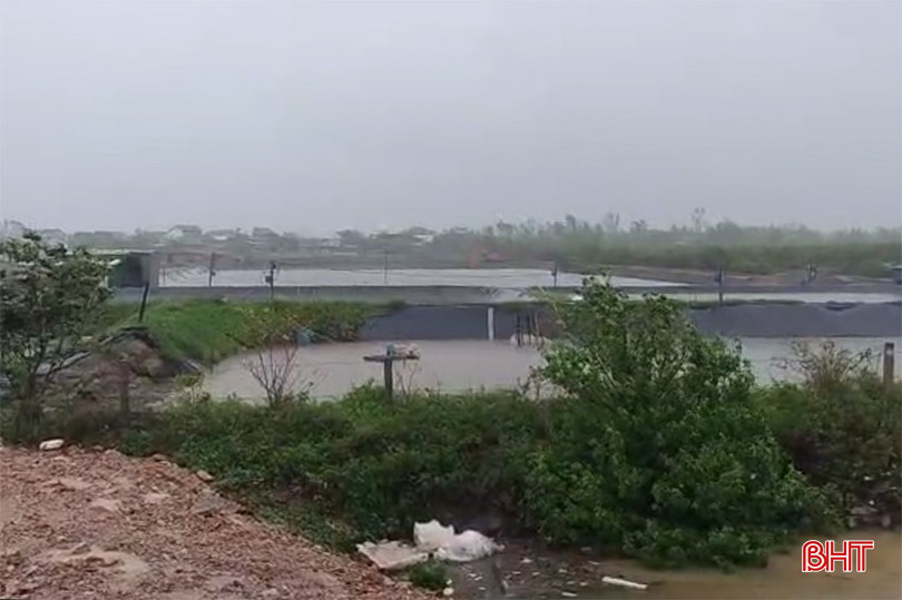 Khu vực thôn Xuân Hòa, xã Lộc Hà hiện có 60-70 tấn tôm thẻ chân trắng thương phẩm chưa xuất bán kịp. bqbht_br_untitled-1-copy.jpg