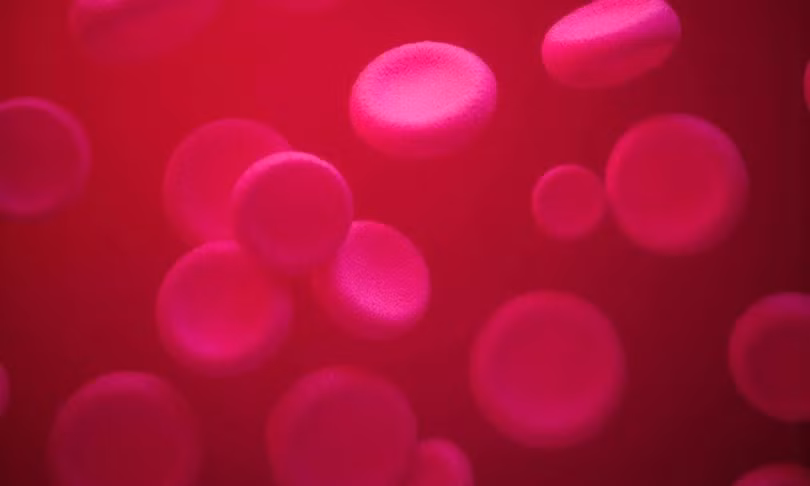 Tủy xương là nơi sản xuất ra tế bào hồng cầu cho cơ thể.