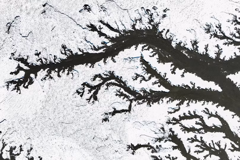 Cùng ngày, băng giá phủ kín bãi bùn gần cảng Maehyang, thành phố Hwaseong, tỉnh Gyeonggi, trong bối cảnh đợt không khí lạnh tiếp tục ảnh hưởng diện rộng.