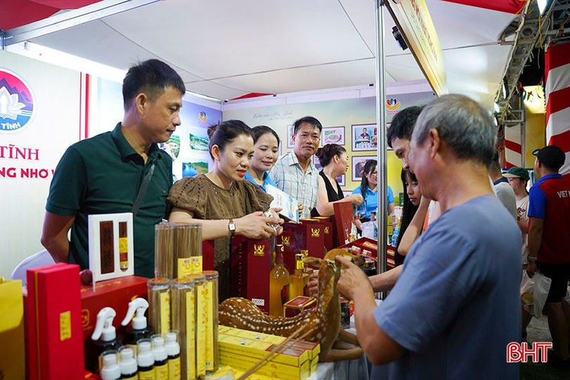 Hà Tĩnh tham gia quảng bá tại Hội chợ Du lịch quốc tế Lào Cai (tháng 6/2025). image-1.jpg