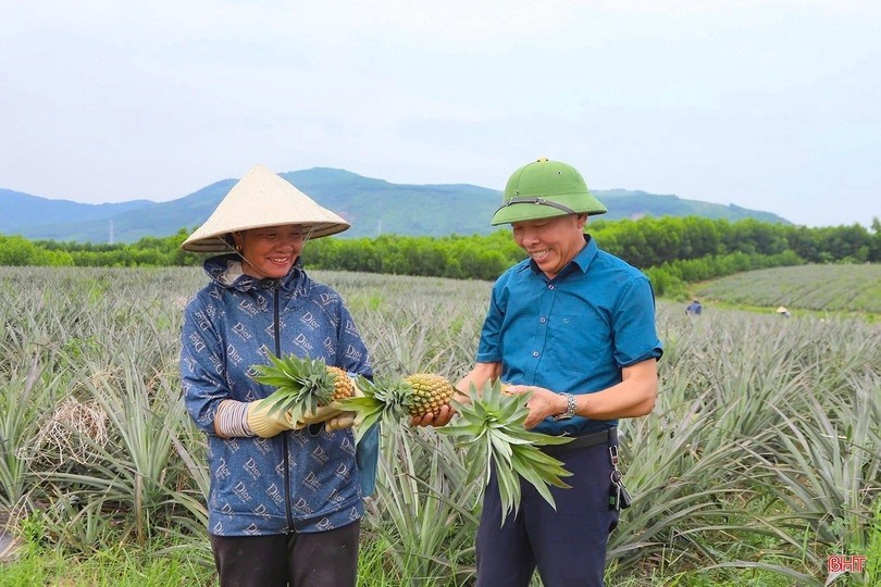 Đơn vị khuyến nông đóng vai trò quan trọng trong phát triển nông nghiệp địa phương. Ảnh minh họa. 666.jpg