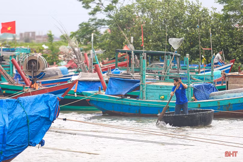 Ngư dân xã Thiên Cầm đưa toàn bộ tàu thuyền nhỏ và vừa về các khu vực neo đậu kín gió, tránh xa bờ biển sóng lớn.