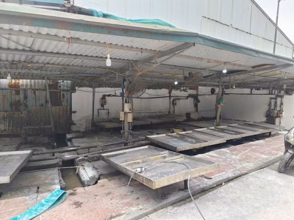 Những hình ảnh bên trong Cơ sở giết mổ gia súc tập trung Vạn Phúc.