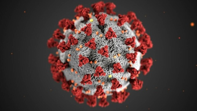 Minh họa nCoV với các protein gai. Ảnh: CDC Minh họa nCoV với các protein gai. Ảnh: CDC