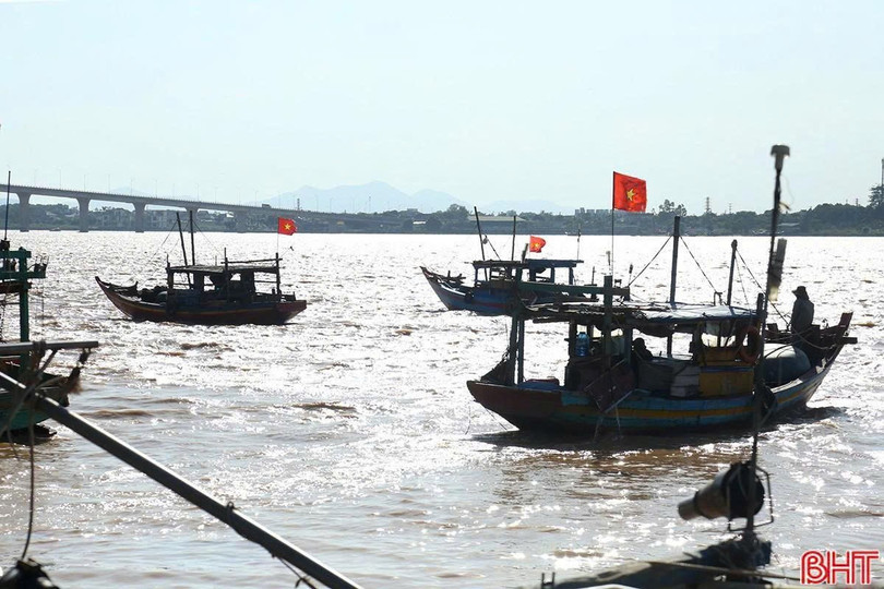 នៅពេលខ្យល់បក់មកទិសនិរតី អ្នកនេសាទនៅឃុំ Dan Hai រៀបចំអួននេសាទ ហើយចាប់ផ្តើមចេញទៅសមុទ្រចាប់មឹក។ រដូវមឹកឆ្នាំនេះលេចចេញយឺតជាងឆ្នាំមុន ប៉ុន្តែទិន្នផលខ្ពស់គួរសម ហើយតម្លៃក៏ល្អដែរ ទើបអ្នកនេសាទរំភើបចិត្តជាខ្លាំង។ 666.jpg