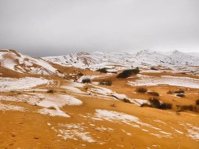 Một góc sa mạc Sahara phủ đầy tuyết. Ảnh: Bav Media