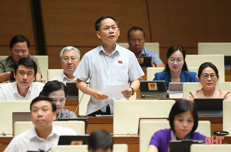 Phó Trưởng đoàn chuyên trách Đoàn ĐBQH tỉnh Trần Đình Gia phát biểu thảo luận. bqbht_br_1trandinhgiasang145.jpg