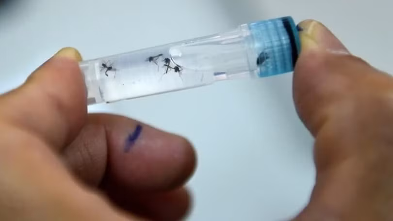 vaccine-sot-xuat-huyet-27.jpg