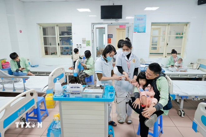 (Ảnh: TTXVN/Vietnam+) (Ảnh: TTXVN/Vietnam+)