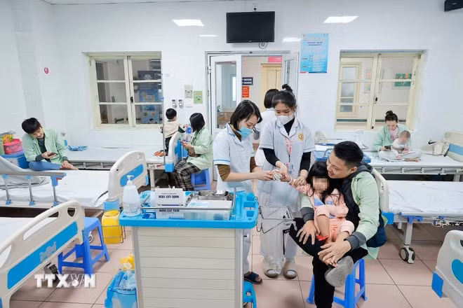 (Ảnh: TTXVN/Vietnam+)