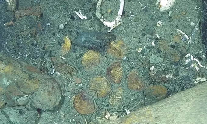 Những đồng xu vàng thuộc về xác tàu San José. Ảnh: Antiquity