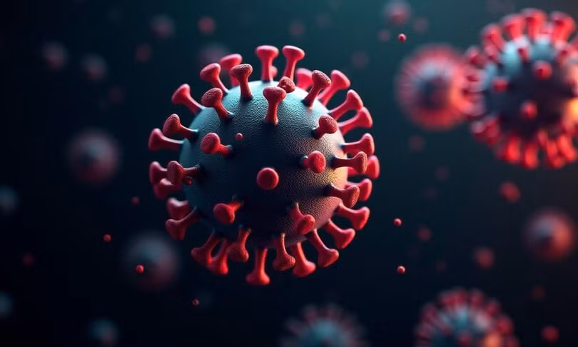 Virus HPV là nguyên nhân chính gây các bệnh truyền nhiễm qua tình dục.