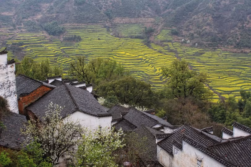 Ảnh: rachelmeetschina