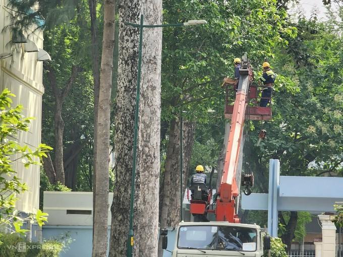 Nhân viên cây xanh đang cắt nhánh cây ở khu vực xảy ra sự cố, sáng 9/8. Ảnh: Đình Văn Nhân viên cây xanh đang cắt nhánh cây ở khu vực xảy ra sự cố, sáng 9/8. Ảnh: Đình Văn