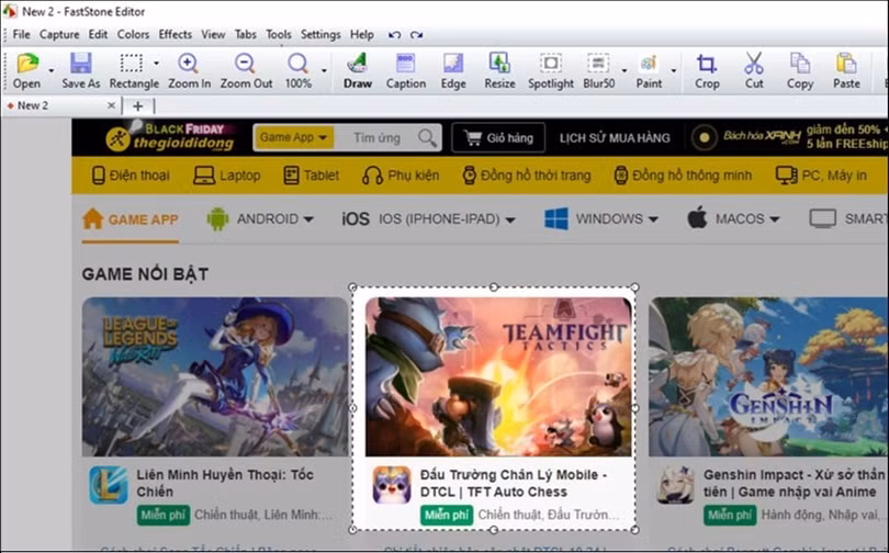FastStone Capture cung cấp cho bạn rất nhiều tùy chọn chụp ảnh.