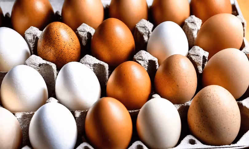 Trứng là một trong những loại thực phẩm bệnh nhân có thể bổ sung vào chế độ ăn.