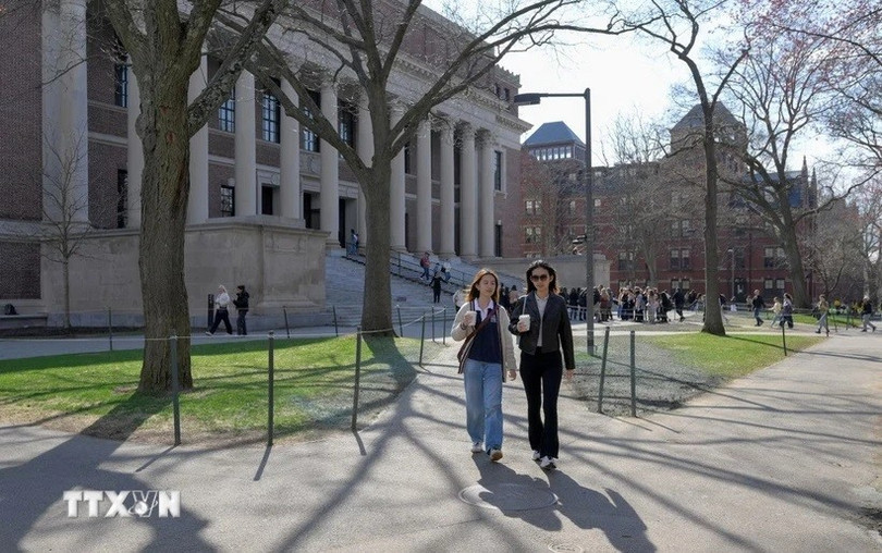 Sinh viên tại Đại học Havard. (Ảnh: Reuters/TTXVN) havard-2.jpg