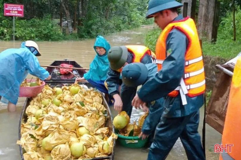 Trước tình hình mưa lớn, nguy cơ ngập lụt, xã Hà Linh đã huy động các tổ chức đoàn thể và lực lượng vũ trang giúp nông dân thu hoạch bưởi. Đến nay, các lực lượng đã hỗ trợ thu hoạch được 6 sào bưởi của hộ gia đình chị Nguyễn Thị Thúy (thôn 4). Lực lượng công an xã cũng huy động phương tiện để hỗ trợ gia đình vận chuyển, tiêu thụ bưởi. bqbht_br_z6960667434178-448cea00862023ba0e14194310111b2c.jpg