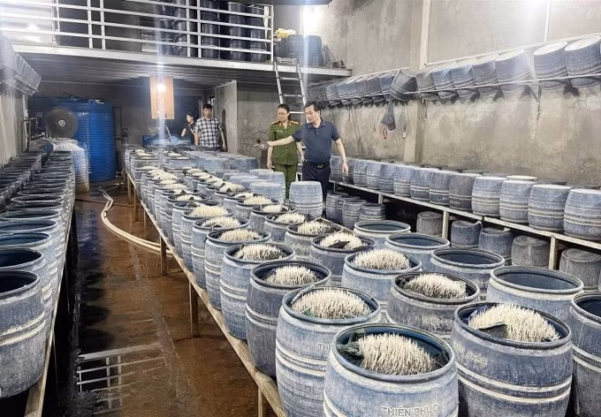 Cảnh sát kiểm tra cơ sở sản xuất giá đỗ ở Lào Cai. Ảnh: Công an tỉnh Lào Cai