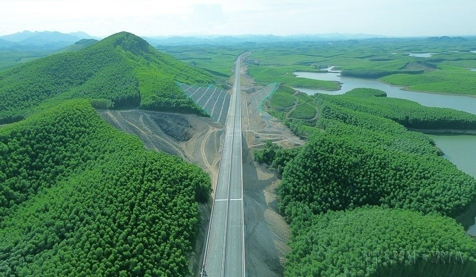 Cao tốc Vạn Ninh-Cam Lộ xuyên qua cánh rừng. (Ảnh: Quốc Khánh/TTXVN)