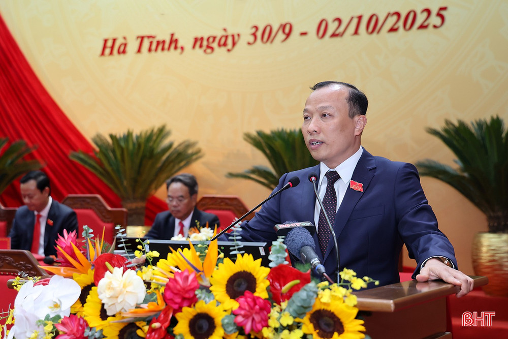 Đại biểu Thái Phúc Sơn trình bày tham luận. bqbht_br_thai-phuc-son.jpg