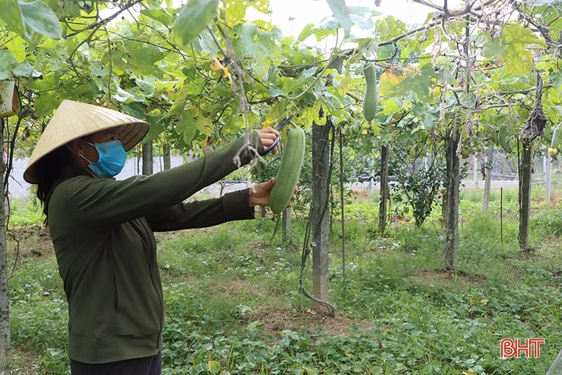 Nông thôn mới kiểu mẫu hiện hữu trên vùng quê Cẩm Bình