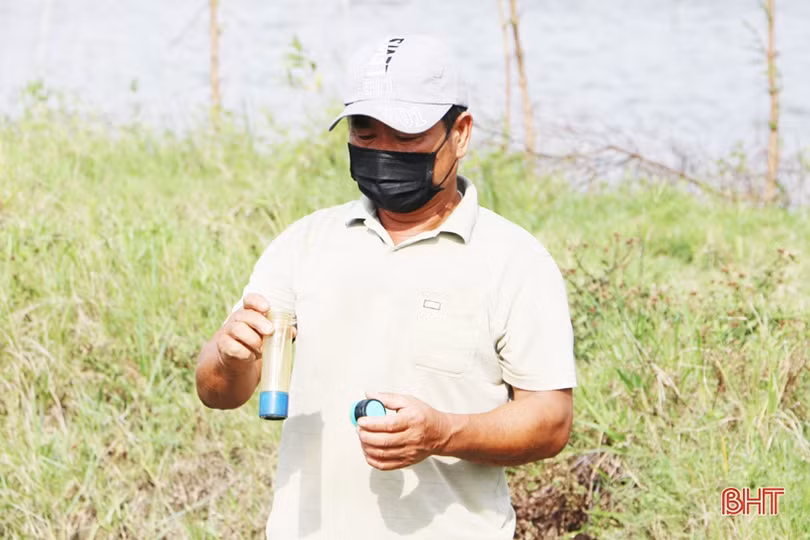 Gần 90 tấn ốc hương của nông dân xứ Cồn Vạn “bí” đầu ra