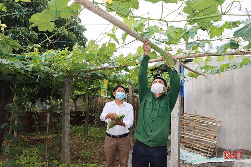 Nông thôn mới kiểu mẫu hiện hữu trên vùng quê Cẩm Bình