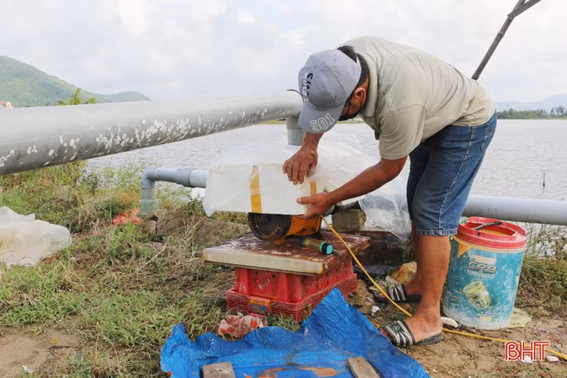 Gần 90 tấn ốc hương của nông dân xứ Cồn Vạn “bí” đầu ra