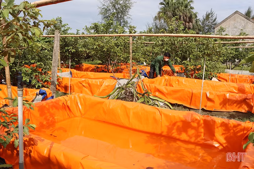 Nông thôn mới kiểu mẫu hiện hữu trên vùng quê Cẩm Bình