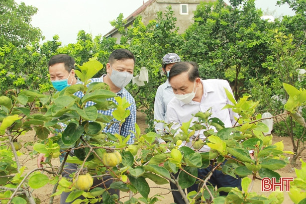 Nghi Xuân có thêm 7 khu dân cư hoàn thành tiêu chí nông thôn mới kiểu mẫu