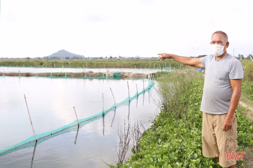 Gần 90 tấn ốc hương của nông dân xứ Cồn Vạn “bí” đầu ra