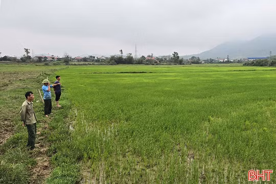 Nhiều diện tích lòng đập Trùa bị chiếm dụng, công trình thiếu nước tưới