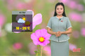 Dự báo thời tiết Hà Tĩnh ngày 12/2: Trưa và chiều hửng nắng