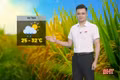 Dự báo thời tiết Hà Tĩnh ngày 18/5: Ngày nắng, chiều mưa rào và dông
