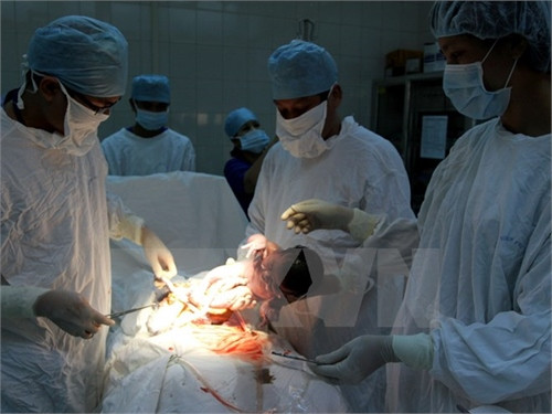 Vợ chồng vô sinh có quyền nhờ mang thai hộ vì mục đích nhân đạo ảnh 1