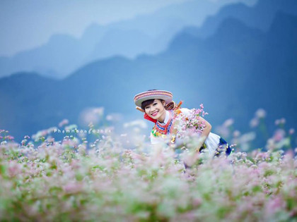 le hoi hoa tam giac mach lan 2 hoi tu nhieu chuong trinh co mot khong hai