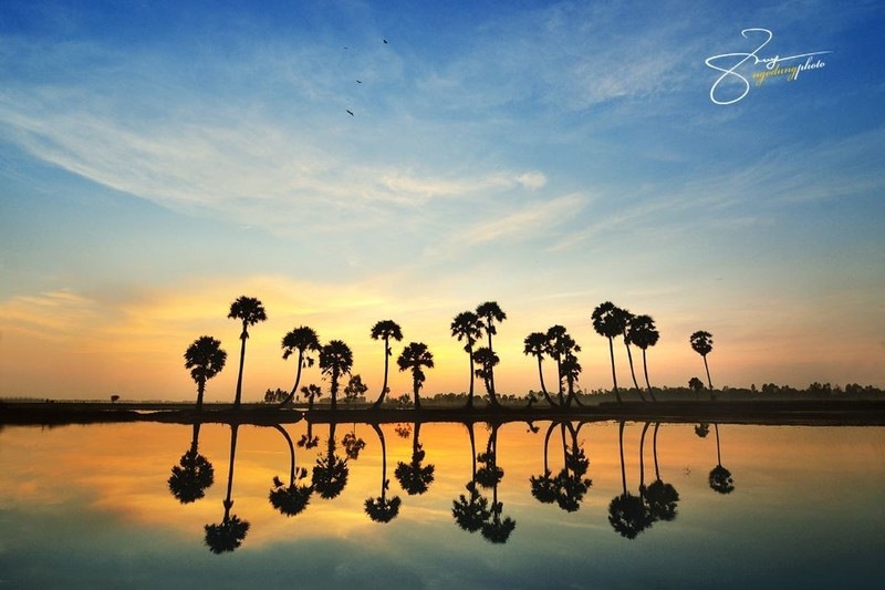 ve dep binh di ma say long cua an giang