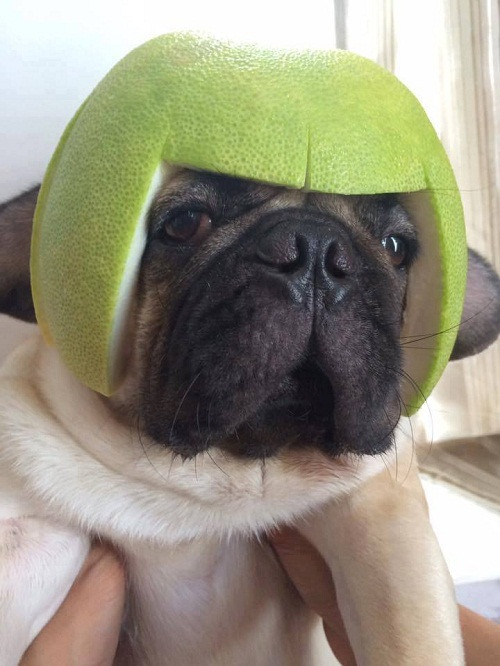 10 anh hai hot nhat facebook trong ngay