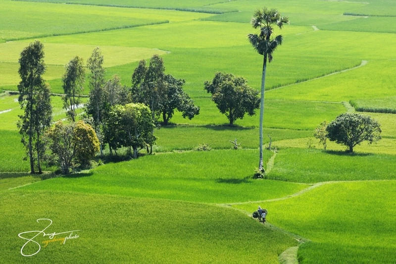 ve dep binh di ma say long cua an giang