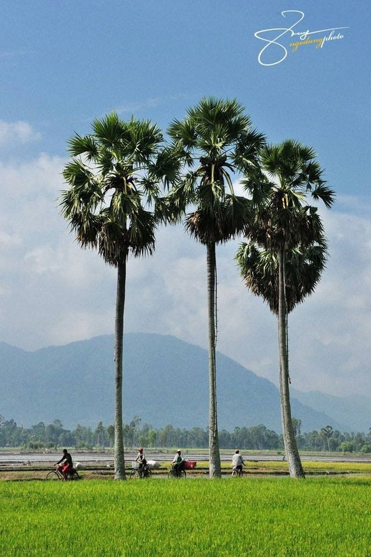 ve dep binh di ma say long cua an giang