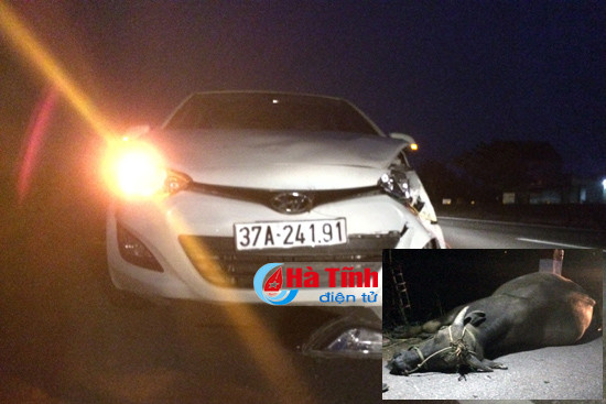 huyndai i20 dam chet trau khi bang qua ql 1a