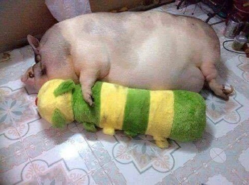 10 anh hai hot nhat facebook trong ngay