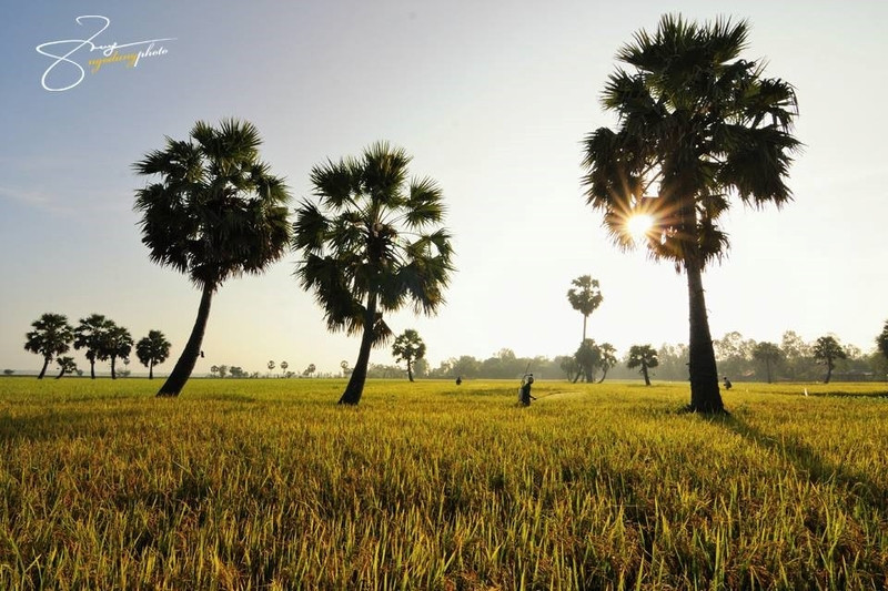 ve dep binh di ma say long cua an giang
