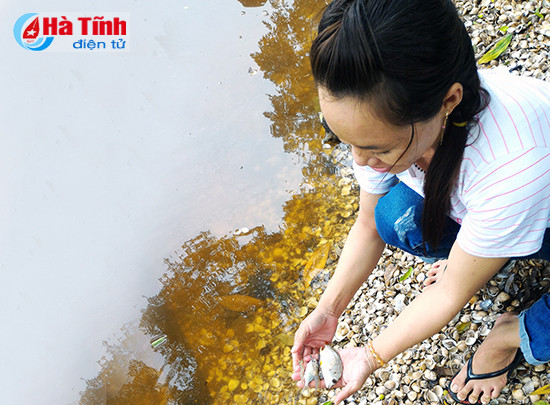 can lam ro nguyen nhan ca chet bat thuong tren song quen