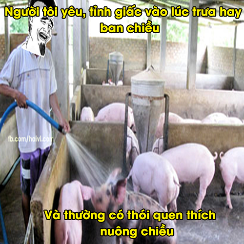 10 anh hai hot nhat facebook trong ngay