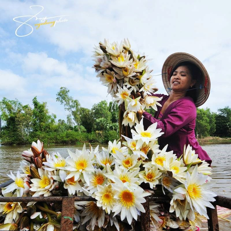 ve dep binh di ma say long cua an giang