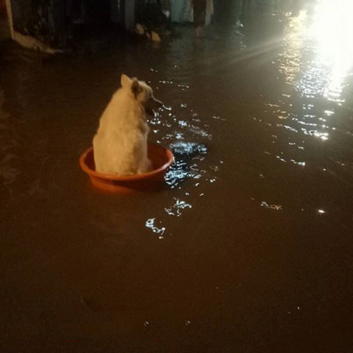 10 anh hai hot nhat facebook trong ngay