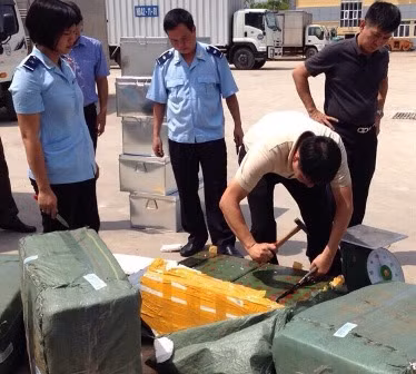 bat giu 308 kg nga voi tai san bay noi bai